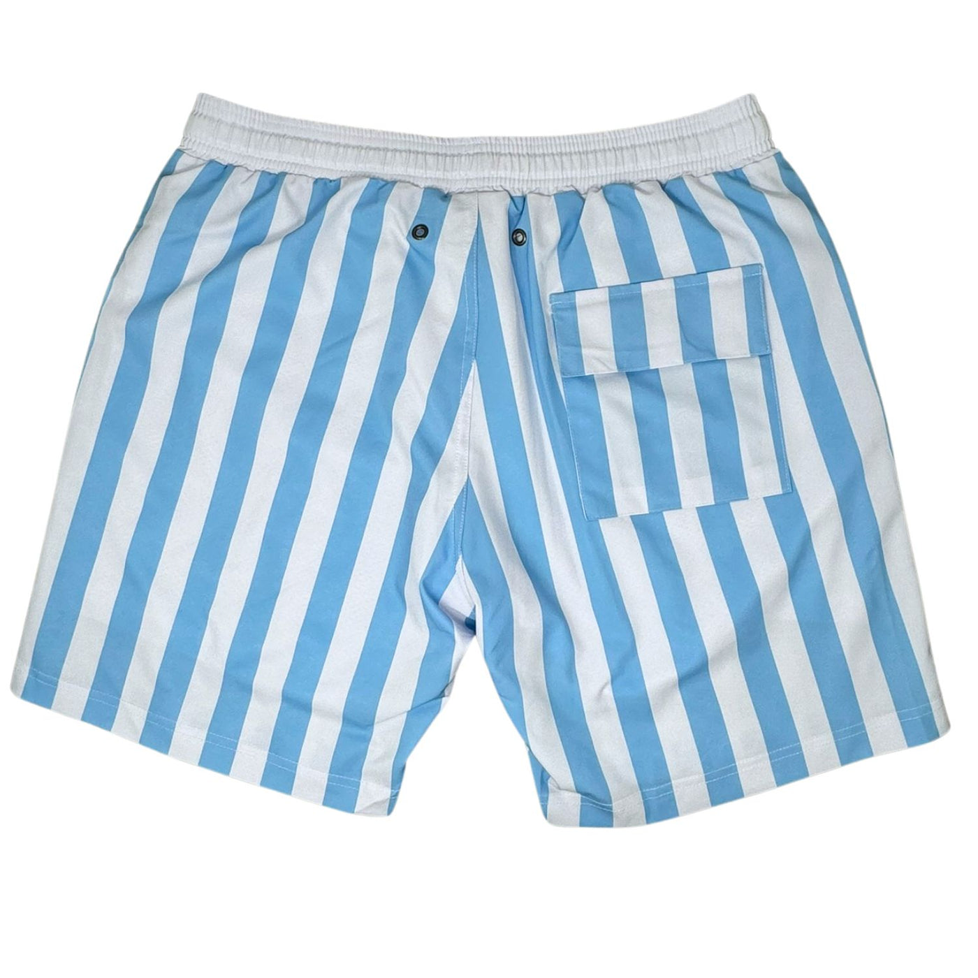 Nautical Master Swimsuit Shorts